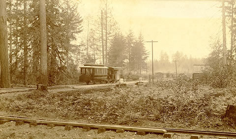 Tacoma & Fern Hill
